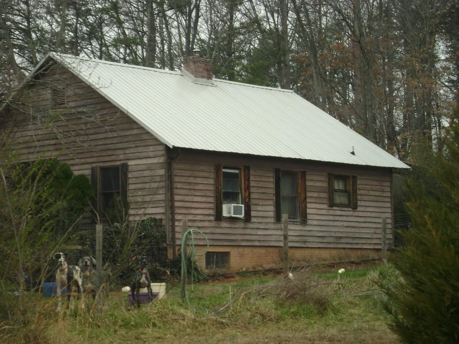 White metal roof on an old wood sided farmhouse, from a Asphalt Shingle Roof Repair job in Hamlin